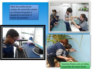Fazendo flores com as mãos
na parede da nossa horta
Além de confeccionar
xampu de camomila caseiro
as crianças do grupo 3
ajudaram a escrever o
rótulo do produto!
 