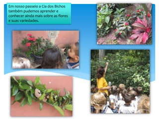 Em nosso passeio a Cia dos Bichos
também pudemos aprender e
conhecer ainda mais sobre as flores
e suas variedades.
 