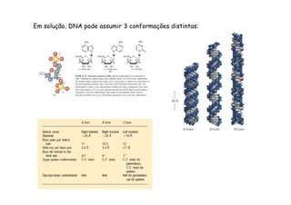 Em solução, DNA pode assumir 3 conformações distintas: 
 