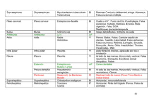 Supraespinoso Supraespinoso Mycobacterium tuberculosis
Tuberculosis
B Rastrear Conducto deferente-Laringe. Abscesos.
Falsa esclerosis múltiple
Plexo cervical Plexo cervical Estreptococo fecallis B Cuello a 45°. Punto de Erb. Cuadriplegia. Falsa
esclerosis múltiple. Halitosis. Eructos. Mala
digestión. Falso SIDA.
Desbloqueo paciente-terapeuta
Bursa Bursa Actinomyces B Abajo del deltoides. Enfrente de axila
Antebursa Antebursa (¿?) AP
Axila Axila Rabia
Hidrofobia
V Perros. Gatos. Ratas. Cambiar cepillo de
dientes. Rastrillo. Lápiz labial. Falso alzheimer.
Falsa neumonía. Retinitis. Laringitis. Sinusitis.
Bronquitis. Asma. Otitis. Irascibilidad. Tiroides.
Paratiroides. SNC
Infra axilar Infra axilar Pleuritis V Dolor toráxico intenso, agravado por tos e
inhalación
Pleura Pleura Pleuritis V Al lado de las mamas. Horizontal y vertical. Falsa
neumonía. Bronquitis. Escoliosis dorsal
ideopática. Fiebre
Esternón Estreptococo
Mutans / angis
AP Caries dentales
Pleura derecha Pseudomona
aeruginosa
B Al lado de las mamas. Horizontal y vertical. Falso
reumatismo. Cáncer
Peritoneo Reservorio de Bacterias
Moisés
R Rastrear todo de nuevo. Poner Timo-Recto e
Indice-Indice
Suprahepático Suprahepático Chlostrydium malignum B Horizontal. Inmunodeficiencia
Retrohepático Retrohepático Toxocara
Ácaros
P Horizontal. Atrás del Hígado. Perros. Pelos de
animales
46
 