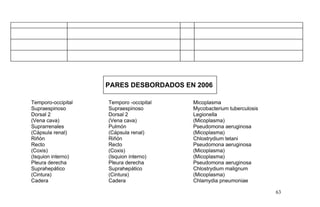 PARES DESBORDADOS EN 2006
Temporo-occipital Temporo -occipital Micoplasma
Supraespinoso Supraespinoso Mycobacterium tuberculosis
Dorsal 2 Dorsal 2 Legionella
(Vena cava) (Vena cava) (Micoplasma)
Suprarrenales Pulmón Pseudomona aeruginosa
(Cápsula renal) (Cápsula renal) (Micoplasma)
Riñón Riñón Chlostrydium tetani
Recto Recto Pseudomona aeruginosa
(Coxis) (Coxis) (Micoplasma)
(Isquion interno) (Isquion interno) (Micoplasma)
Pleura derecha Pleura derecha Pseudomona aeruginosa
Suprahepático Suprahepático Chlostrydium malignum
(Cintura) (Cintura) (Micoplasma)
Cadera Cadera Chlamydia pneumoniae
63
 