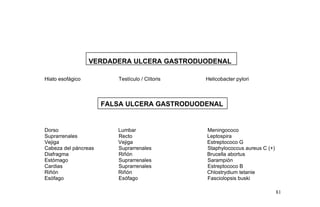 VERDADERA ULCERA GASTRODUODENAL
Hiato esofágico Testículo / Clítoris Helicobacter pylori
FALSA ULCERA GASTRODUODENAL
Dorso Lumbar Meningococo
Suprarrenales Recto Leptospira
Vejiga Vejiga Estreptococo G
Cabeza del páncreas Suprarrenales Staphylococcus aureus C (+)
Diafragma Riñón Brucella abortus
Estómago Suprarrenales Sarampión
Cardias Suprarrenales Estreptococo B
Riñón Riñón Chlostrydium tetanie
Esófago Esófago Fasciolopsis buski
81
 