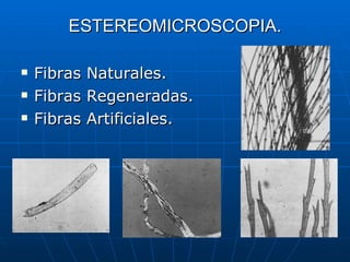 ESTEREOMICROSCOPIA. Fibras Naturales. Fibras Regeneradas. Fibras Artificiales. 