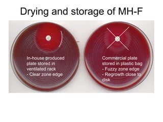Quality control of susceptibility testing (Part 2)