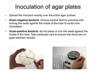 Quality control of susceptibility testing (Part 2)