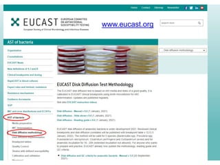 Quality control of susceptibility testing (Part 2)