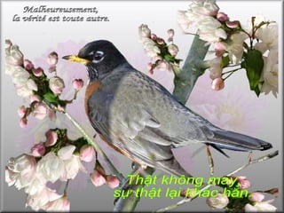 Malheureusement, la vérité est toute autre.  Thật không may, sự thật lại khác hẳn.  