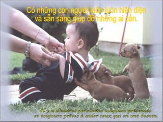 Il y a d'autres personnes toujours présentes  et toujours prêtes à aider ceux qui en ont besoin. Có những con người luôn luôn hiện diện  và sẵn sàng giúp đỡ những ai cần. 