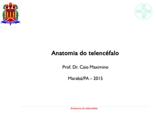Anatomia do telencéfalo
Anatomia do telencéfalo
Prof. Dr. Caio Maximino
Marabá/PA – 2015
 