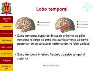 Anatomia do telencéfalo
Lobo temporal
●
Sulco temporal superior: Inicia-se próximo ao pólo
temporal e dirige-se para trás paralelamente ao ramo
posterior do sulco lateral, terminando no lobo parietal
●
Sulco temporal inferior: Paralelo ao sulco temporal
superior
Lobo frontal
Organização
geral
Lobo occipital
Lobo temporal
Lobo parietal
Córtex insular
Tractografia
Núcleos da
base
 