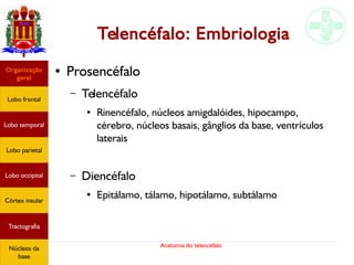 Anatomia do telencéfalo
Telencéfalo: Embriologia
● Prosencéfalo
– Telencéfalo
●
Rinencéfalo, núcleos amigdalóides, hipocampo,
cérebro, núcleos basais, gânglios da base, ventrículos
laterais
– Diencéfalo
● Epitálamo, tálamo, hipotálamo, subtálamo
Lobo frontal
Organização
geral
Lobo occipital
Lobo temporal
Lobo parietal
Córtex insular
Tractografia
Núcleos da
base
 