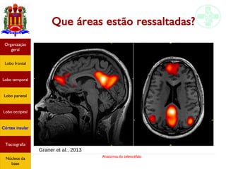 Anatomia do telencéfalo
Que áreas estão ressaltadas?
Graner et al., 2013
Lobo frontal
Organização
geral
Lobo occipital
Lobo temporal
Lobo parietal
Córtex insular
Tractografia
Núcleos da
base
Lobo frontal
Organização
geral
Lobo occipital
Lobo temporal
Lobo parietal
Córtex insular
Tractografia
Núcleos da
base
 