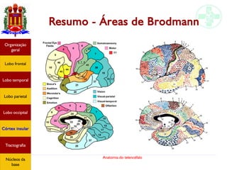 Anatomia do telencéfalo
Resumo - Áreas de Brodmann
Lobo frontal
Organização
geral
Lobo occipital
Lobo temporal
Lobo parietal
Córtex insular
Tractografia
Núcleos da
base
 