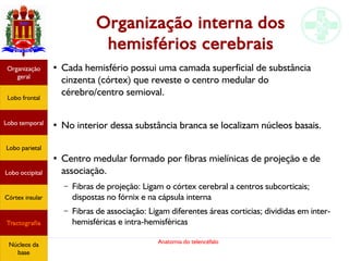 Anatomia do telencéfalo
Organização interna dos
hemisférios cerebrais
●
Cada hemisfério possui uma camada superficial de substância
cinzenta (córtex) que reveste o centro medular do
cérebro/centro semioval.
●
No interior dessa substância branca se localizam núcleos basais.
●
Centro medular formado por fibras mielínicas de projeção e de
associação.
– Fibras de projeção: Ligam o córtex cerebral a centros subcorticais;
dispostas no fórnix e na cápsula interna
– Fibras de associação: Ligam diferentes áreas corticias; divididas em inter-
hemisféricas e intra-hemisféricas
Lobo frontal
Organização
geral
Lobo occipital
Lobo temporal
Lobo parietal
Córtex insular
Tractografia
Núcleos da
base
 
