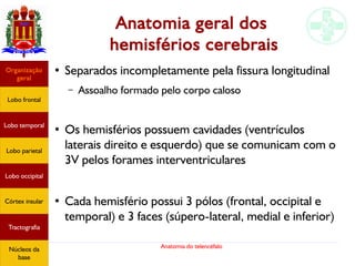 Anatomia do telencéfalo
Anatomia geral dos
hemisférios cerebrais
●
Separados incompletamente pela fissura longitudinal
– Assoalho formado pelo corpo caloso
●
Os hemisférios possuem cavidades (ventrículos
laterais direito e esquerdo) que se comunicam com o
3V pelos forames interventriculares
●
Cada hemisfério possui 3 pólos (frontal, occipital e
temporal) e 3 faces (súpero-lateral, medial e inferior)
Lobo frontal
Organização
geral
Lobo occipital
Lobo temporal
Lobo parietal
Córtex insular
Tractografia
Núcleos da
base
 