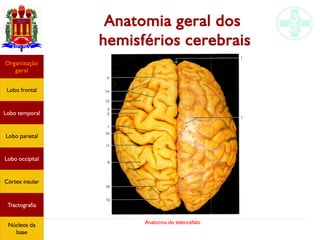 Anatomia do telencéfalo
Anatomia geral dos
hemisférios cerebrais
Lobo frontal
Organização
geral
Lobo occipital
Lobo temporal
Lobo parietal
Córtex insular
Tractografia
Núcleos da
base
 
