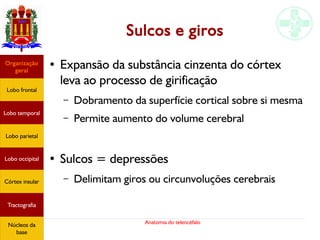 Anatomia do telencéfalo
Sulcos e giros
● Expansão da substância cinzenta do córtex
leva ao processo de girificação
– Dobramento da superfície cortical sobre si mesma
– Permite aumento do volume cerebral
● Sulcos = depressões
– Delimitam giros ou circunvoluções cerebrais
Lobo frontal
Organização
geral
Lobo occipital
Lobo temporal
Lobo parietal
Córtex insular
Tractografia
Núcleos da
base
 