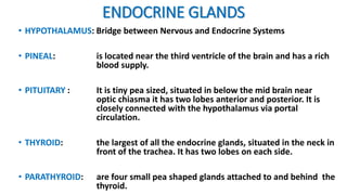 ENDOCRINE GLANDS
• HYPOTHALAMUS: Bridge between Nervous and Endocrine Systems
• PINEAL: is located near the third ventricle of the brain and has a rich
blood supply.
• PITUITARY : It is tiny pea sized, situated in below the mid brain near
optic chiasma it has two lobes anterior and posterior. It is
closely connected with the hypothalamus via portal
circulation.
• THYROID: the largest of all the endocrine glands, situated in the neck in
front of the trachea. It has two lobes on each side.
• PARATHYROID: are four small pea shaped glands attached to and behind the
thyroid.
 