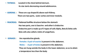 • THYMUS: Located in the chest behind sternum.
Its size starts decreasing around adolescence.
• ADRENAL : These are cup shaped & above each Kidney.
There are two parts, outer cortex and inner medulla.
• PANCREAS: Flattened leaflike structure below the stomach
Has two parts, one is Exocrine and other is Endocrine
Endocrine part is made up of 3 types of cells Alpha, Beta & Delta cells
Beta cells also called a Islets of Langerhans.
• GONADS : Are reproductive glands.
Females- A pair of ovaries is present in the abdomen.
Males - A pair of testes is present in the abdomen.
They are hung outside the body in the lower abdomen, so as to attain
a temperature less than the body
 