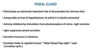 PINEAL GLAND
• Pineal plays an extremely important role in Neuroendocrine Immune Axis
• Comparable to that of hypothalamus to which it is closely connected
• Activity inhibited by stimulation from photoreceptors of retina. Light sensitive
• Light suppresses pineal secretion
• Secretion increases in darkness
• Secretion helps to regulate human “ Wake-Sleep/ Day-night “ cycle
( circadian cycle )
 