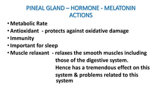PINEAL GLAND – HORMONE - MELATONIN
ACTIONS
•Metabolic Rate
•Antioxidant - protects against oxidative damage
•Immunity
•Important for sleep
•Muscle relaxant - relaxes the smooth muscles including
those of the digestive system.
Hence has a tremendous effect on this
system & problems related to this
system
 