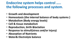 Endocrine system helps control …..
the following processes and system.
• Growth and development
• Homeostasis (the internal balance of body systems )
• Metabolism (Body energy levels)
• Cell & tissue metabolism
• Reproduction, birth &lactation
• Response to stimuli(stress and/or injury)
• Absorption of Nutrients
• Water& Electrolyte balance
 