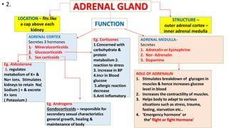 • 2.
ADRENAL CORTEX
Secretes 3 hormones
1. Mineralocorticoids
2. Glucocorticoids
3. Sex corticoids
ADRENAL MEDULLA-
Secretes
1. Adrenalin or Epinephrine
2. Nor- Adrenalin
3. Dopamine
ADRENAL GLAND
LOCATION – fits like
a cap above each
kidney
FUNCTION
Eg. Aldosterone
1. regulates
metabolism of K+ &
Na+ ions. Stimulates
kidneys to retain Na(
Sodium ) + & excrete
K+ ions
( Potassium )
ROLE OF ADRENALIN
1. Stimulates breakdown of glycogen in
muscles & hence increases glucose
level in blood
2. Increases the contractility of muscles.
3. Helps body to adapt to various
situations such as stress, trauma,
fasting, starvation etc..
4. ‘Emergency hormone’ or
the’ flight or fight Hormone’
STRUCTURE –
outer adrenal cortex –
inner adrenal medulla
Eg. Cortisones
1.Concerned with
carbohydrate &
protein
metabolism 2.
reaction to stress
3. increase in BP
4.Incr in Blood
glucose
5.allergic reaction
decrease
5.Anti Inflamatory
Eg. Androgens
Gondocorticoids – responsible for
secondary sexual characteristics
general growth, healing &
maintenance of body
 