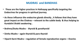 MUDRAS and BANDHAS
• These are the higher practices in Hathayog specifically targeting the
Endocrines for progress in spiritual journey.
• As these influence the endocrine glands directly , it follows that they have
great impact on the Chakras – relevant to the subtle body & thus helping to
Kundalini Shakti awakening .
• Brahma/Dutta Mudra - thyroid & parathyroid
• Simha Mudra – again thyroid & para thyroid
• Viparit Karni Mudra – regulation of female reproductive organs – Ovaries
 