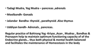 • Tadagi Mudra, Yog Mudra – pancreas ,adrenals
• Moolbandh- Gonads
• Jalandar Bandha- thyroid , parathyroid .Also thymus
• Uddiyan bandh- Adrenals , pancreas.
Regular practice of Bahirang Yog -Kriyas ,Asan , Mudras , Bandhas &
Pranayam help to maintain optimum functioning capacity of of the
Endocrine glands… thus both physical & mental health balanced
and facilitates the maintenance of Homeostasis in the body
 