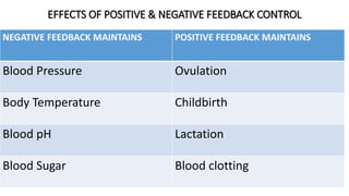 EFFECTS OF POSITIVE & NEGATIVE FEEDBACK CONTROL
NEGATIVE FEEDBACK MAINTAINS POSITIVE FEEDBACK MAINTAINS
Blood Pressure Ovulation
Body Temperature Childbirth
Blood pH Lactation
Blood Sugar Blood clotting
 