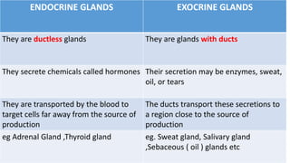 ENDOCRINE GLANDS EXOCRINE GLANDS
They are ductless glands They are glands with ducts
They secrete chemicals called hormones Their secretion may be enzymes, sweat,
oil, or tears
They are transported by the blood to
target cells far away from the source of
production
The ducts transport these secretions to
a region close to the source of
production
eg Adrenal Gland ,Thyroid gland eg. Sweat gland, Salivary gland
,Sebaceous ( oil ) glands etc
 