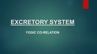 EXCRETORY SYSTEM
YOGIC CO-RELATION
 