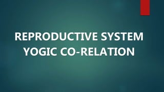 REPRODUCTIVE SYSTEM
YOGIC CO-RELATION
 
