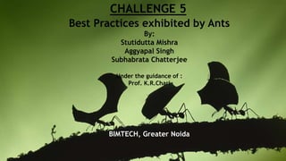 CHALLENGE 5
Best Practices exhibited by Ants
By:
Stutidutta Mishra
Aggyapal Singh
Subhabrata Chatterjee
Under the guidance of :
Prof. K.R.Chari
BIMTECH, Greater Noida
 