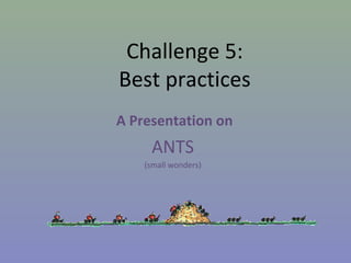 Challenge 5:
Best practices
A Presentation on
ANTS
(small wonders)
 