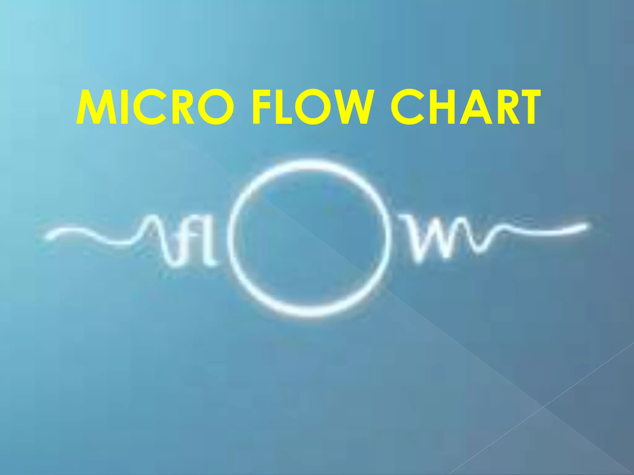 MICRO FLOW CHART
 