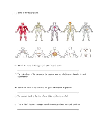 57. Label all the body systems 
58. What is the name of the biggest part of the human brain? 
_______________________________________________________________ 
59. The colored part of the human eye that controls how much light passes through the pupil 
is called the? 
_______________________________________________________________ 
60. What is the name of the substance that gives skin and hair its pigment? 
_______________________________________________________________ 
61. The muscles found in the front of your thighs are known as what? 
_______________________________________________________________ 
62. True or false? The two chambers at the bottom of your heart are called ventricles. 
_______________________________________________________________ 
 