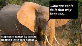 ...but we can’t
                                                                     do it that way
                                                                     because...




elephants cannot fly just by
flapping their ears harder...
                    http://www.flickr.com/photos/garymacfadyen/6860004327/
 