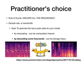 Practitioner's choice
• Rule of thumb: DISCARD ALL THE REDUNDANCY

• Sample rate, or bandwidth

• Goal: To optimize the input audio data for your model

• by resampling - can be computation heavier

• by discarding some freq bands - can be storage heavy
https://www.summerrankin.com/dogandponyshow/2017/10/16/catdog
 