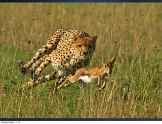 Sunday, March 11, 12
 