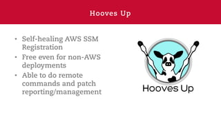 Hooves Up
• Self-healing AWS SSM
Registration
• Free even for non-AWS
deployments
• Able to do remote
commands and patch
reporting/management
 