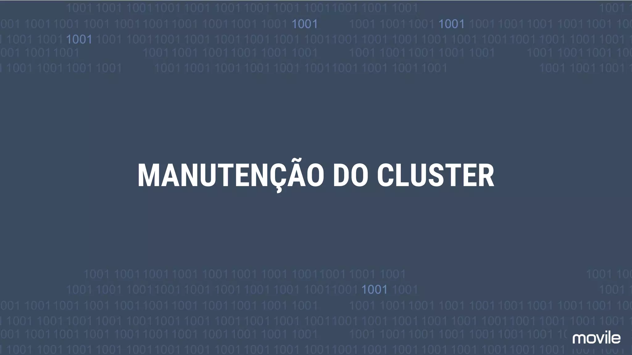 MANUTENÇÃO DO CLUSTER
 