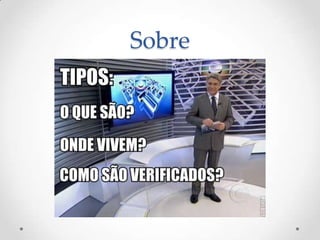 Sobre
 