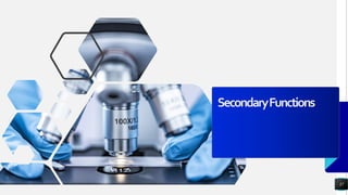 SecondaryFunctions
37
 