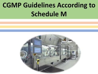 CGMP Guidelines According to
Schedule M
 