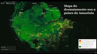Mapa do 
desmatamento nos 9 
países da Amazônia 
 