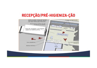 RECEPÇÃO/PRÉ-HIGIENIZA-ÇÃO
 