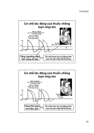 13/10/2016
20
Cơ chế tác động của thuốc chống
loạn nhịp tim
< CK nhịp xoang
400 ms (150/ph)
> CK nhịp xoang
1000 ms (60/ph)
0
-80
mV
Tăng ngưỡng điện
thế màng tế bào
Ức chế chọn lọc tự động tính
của mô tạo nhịp bất thường
Tổn thương
thiếu máu cục bộ
Cơ chế tác động của thuốc chống
loạn nhịp tim
< CK nhịp xoang
400 ms (150/ph)
0
-80
mV
Tăng thời gian
trơ hiệu quả
Ức chế chọn lọc tự động tính
của mô tạo nhịp bất thường
Tổn thương
thiếu máu
cục bộ
> CK nhịp xoang
1000 ms (60/ph)
 