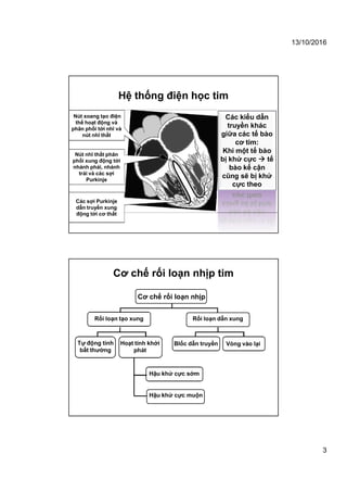 13/10/2016
3
Hệ thống điện học tim
Nút xoang tạo điện
thế hoạt động và
phân phối tới nhĩ và
nút nhĩ thất
Nút nhĩ thất phân
phối xung động tới
nhánh phải, nhánh
trái và các sợi
Purkinje
Các sợi Purkinje
dẫn truyền xung
động tới cơ thất
Các kiểu dẫn
truyền khác
giữa các tế bào
cơ tim:
Khi một tế bào
bị khử cực  tế
bào kế cận
cũng sẽ bị khử
cực theo
Cơ chế rối loạn nhịp tim
Cơ chế rối loạn nhịp
Rối loạn tạo xung Rối loạn dẫn xung
Blốc dẫn truyền Vòng vào lạiTự động tính
bất thường
Hoạt tính khởi
phát
Hậu khử cực sớm
Hậu khử cực muộn
 