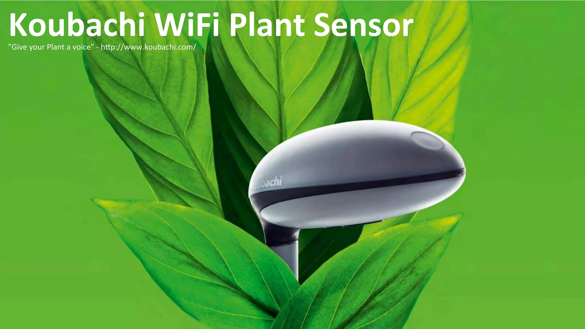 © 2014 IBM Corporation7
Koubachi	
  WiFi	
  Plant	
  Sensor	
  ”Give	
  your	
  Plant	
  a	
  voice”	
  -­‐	
  hIp://www.koubachi.com/	
  
 